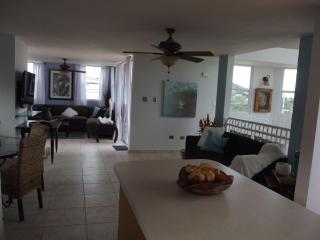 Beautiful Home At The Hill With Private Pool - Ceiba - 1