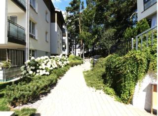 Bernadowo Forest Apartment Gdynia - Gdynia - 7