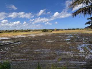 Lavender Home Yala Safari - 6