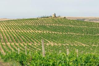 Chabiant Winery Hotel - 7