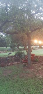 Mountains and More - 5