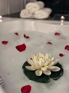 Romantic Bathtube Cismigiu Park 2 Room Apartment - Bucharest - 2
