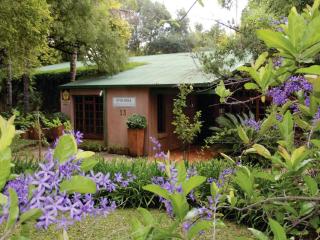 Op De Hoek Guesthouse - Modimolle - 8