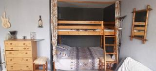 Studio Allemont ALPE D'HUEZ gd domaine tt equipe - Allemont - 3