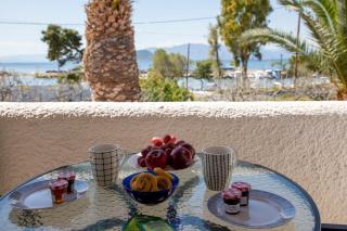 Stefanie Studios - 1