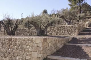 Villa Olivera - Saint-Sernin - 4
