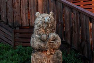 Wilderness Hotel Nellim & Igloos - Inari - 6