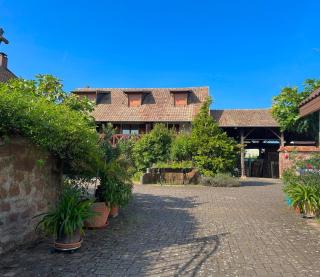 La Poulie - Apartment with Balcony and Free Privative Parking - Close to Colmar - 9