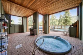 Buffalo Lodge 2 Bed 2 Ba BLCD2 - 4