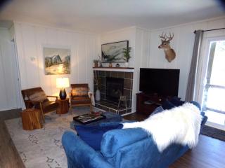 Blue River Condos 3 Bed 2 Bath BRCR - Blue River - 6