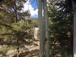 Chateau DuMont Oversized 2 Bed 2 Bath CDMR - 3