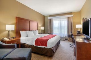 Comfort Inn & Suites - 3