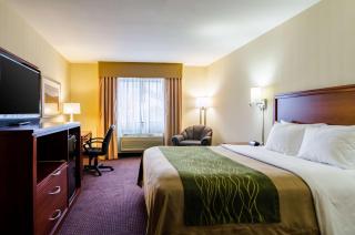 Comfort Inn - 2