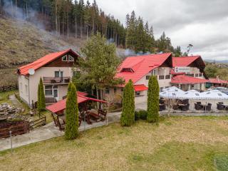 Pensiune Restaurant Căprioara Toplița - 9
