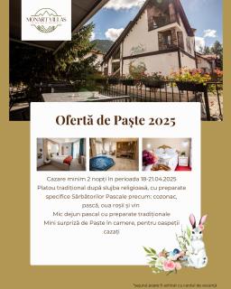 Monti Chalet - Poiana Brasov - 9
