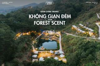 Forest Scent - Glamping & Camping - Ấp Xuân An - 1