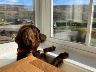 Stony Thwaite - Reeth - 6