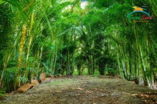Green land agro tourism - Nashik - 3