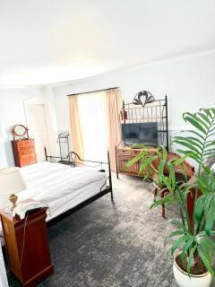 Hotel Seehof Leipzig - Zwenkau - 5