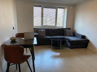 Tammsaare Luxury Apartment - Pärnu - 8