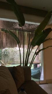 Cozy home with garden - Il Cairo - 1