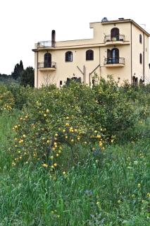Agriturismo Rajata - Bagheria - 1