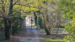 Villa Casacalou - Vaison-la-Romaine - 8