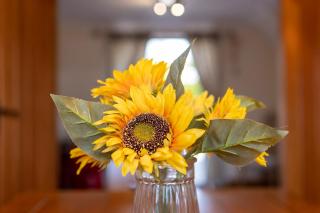 Abbey Farm House - Pet Friendly - 3