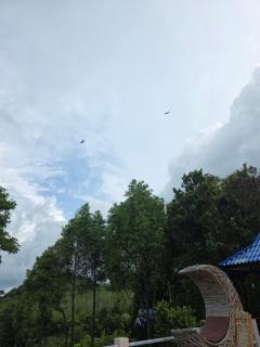 Esmeralda View Resort - SHA Extra Plus - Ko Yao Yai - 9