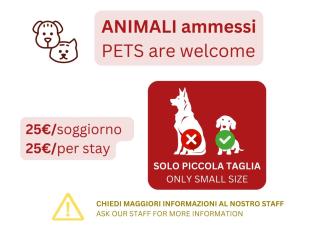 CaseOspitali - Casa Titus, moderno e luminoso appartamento per 5 - Milan - 3