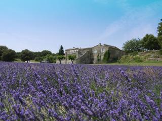 La Ferme les Eybrachas - Réauville - 1