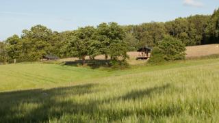 Brocklands Farm Glamping - Petersfield - 7