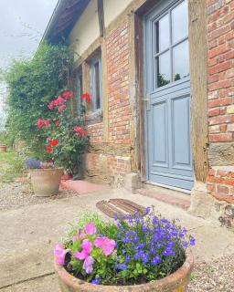 Beau soleil - Mesnières-en-Bray - 3