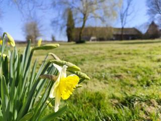 Beau soleil - Mesnières-en-Bray - 4