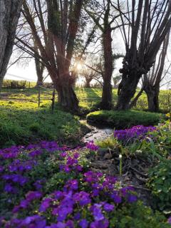 Beau soleil - Mesnières-en-Bray - 7