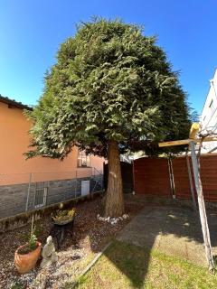 Corte del Pino - Losone - 9