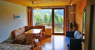 Apartment Haus Steigerbauer Top 29 - Königsleiten - 9