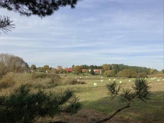 Fewo - Entspannung - Klein Trebbow - Neustrelitz - 5