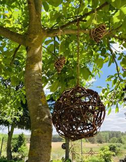 Fewo - Entspannung - Klein Trebbow - Neustrelitz - 4
