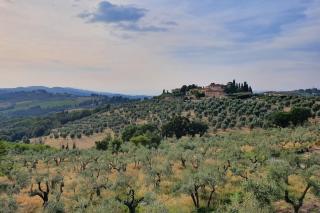 Tuscan Countryside near Florence - Happy Rentals - Impruneta - 2