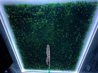 Affittacamere Gess - 2