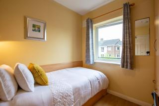 Bright & Spacious Townhouse - Galway - 6
