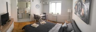 Marigold 2 - Novi Sad - 6