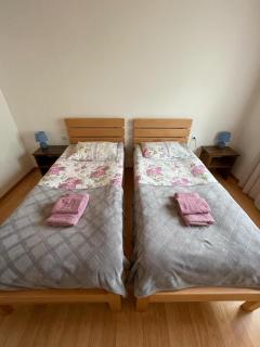 Guest House Victor - Zhabeshi - 8