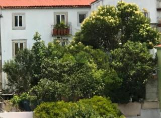 Cozy Apartment - City Center, Sunny and Pratical - Lissabon - 3