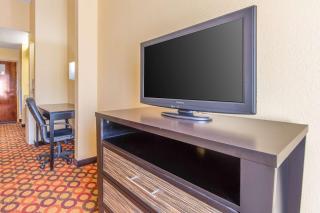 Quality Inn & Suites Montgomery East Carmichael Rd - Montgomery - 5
