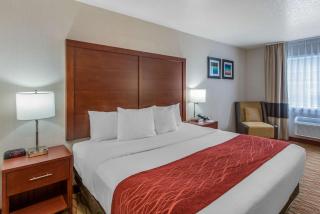 Comfort Inn Mount Shasta Area - Weed - 4