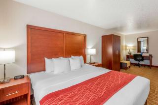 Comfort Inn Mount Shasta Area - Weed - 3