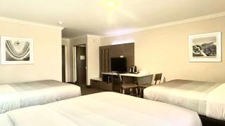 Quality Inn & Suites Los Angeles Airport - LAX - 3