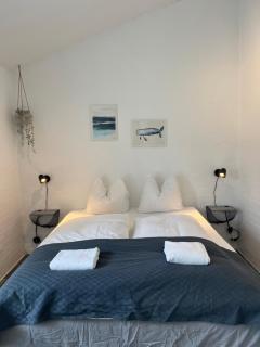 Hartel House - Ollerup - 4